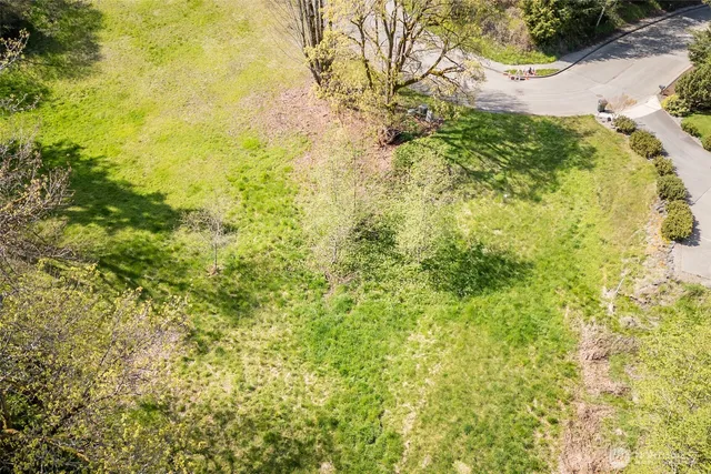 a view of a big yard with large trees