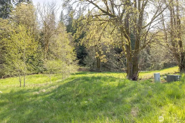 a view of an outdoor space and yard