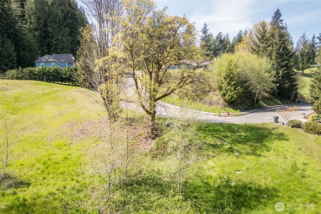a view of yard with green space
