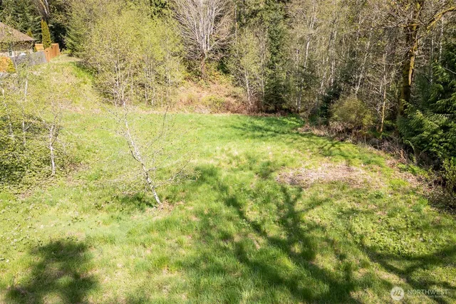 a view of yard with green space