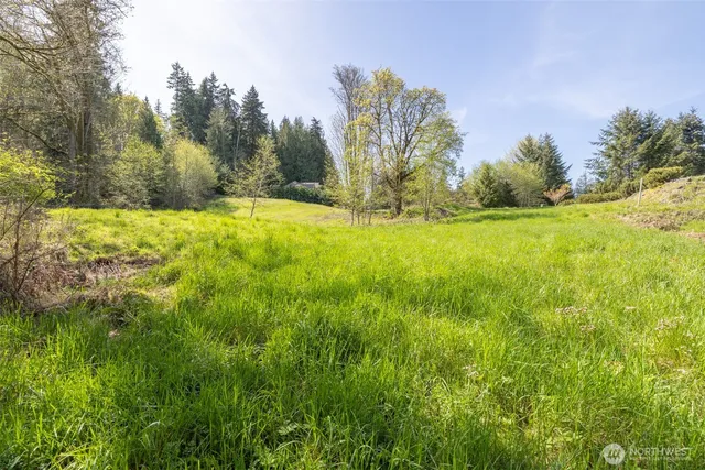 a view of outdoor space and yard