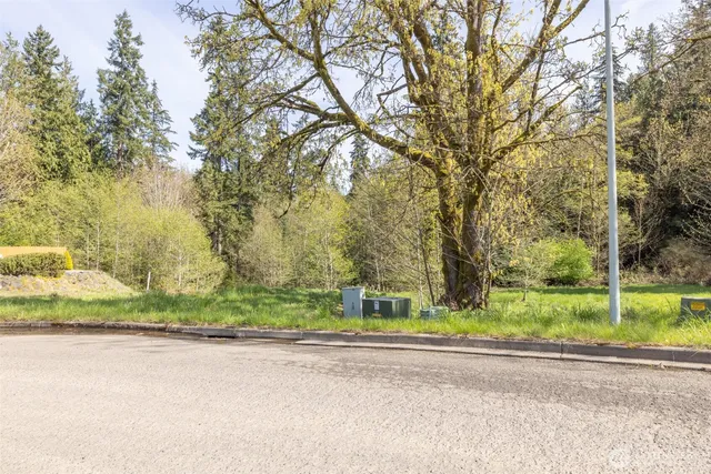 a view of a yard and a house