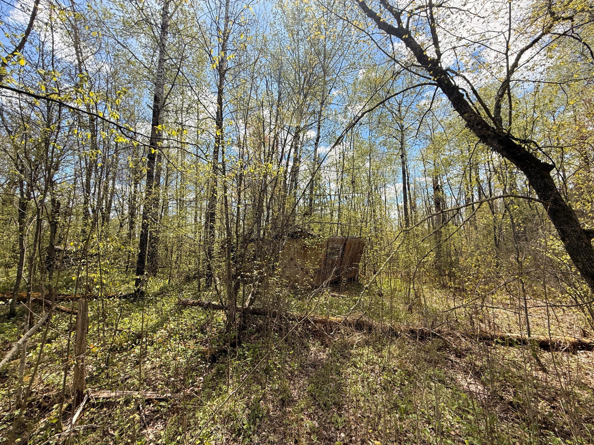 3854 Rasmussen Road Wright, MN 55798 - Photo 17 of 98