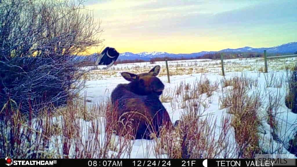 Tbd S South Bates Road Driggs, ID 83422 - Photo 26 of 28