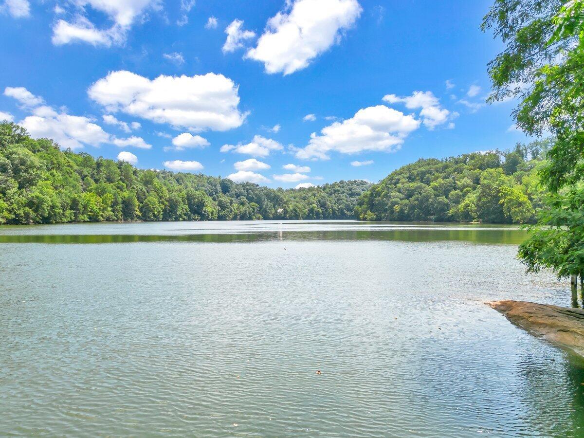 Lot 19 Springsteen Circle Goodview, VA 24095 - Photo 1 of 12 a view of a lake from a yard