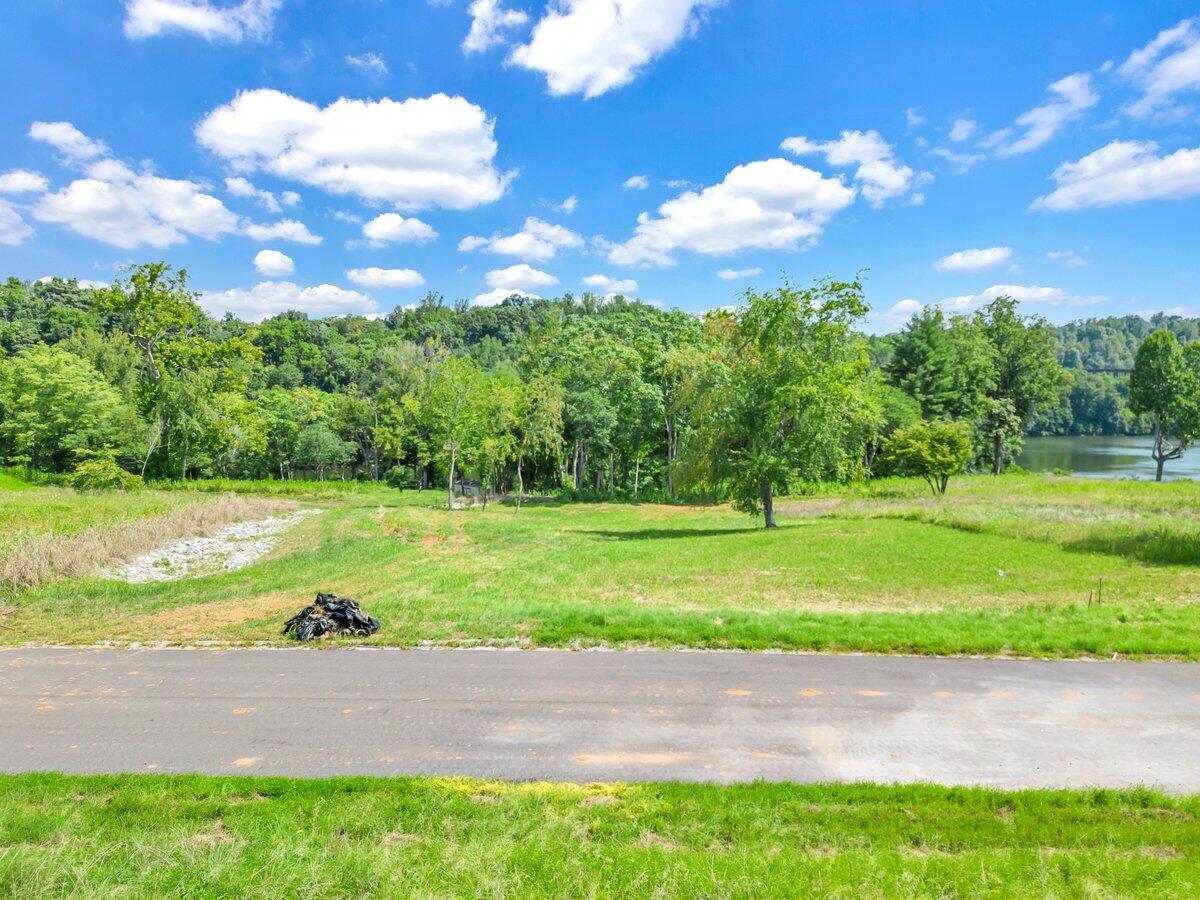 Lot 19 Springsteen Circle Goodview, VA 24095 - Photo 4 of 12 a view of yard with grass & palm trees