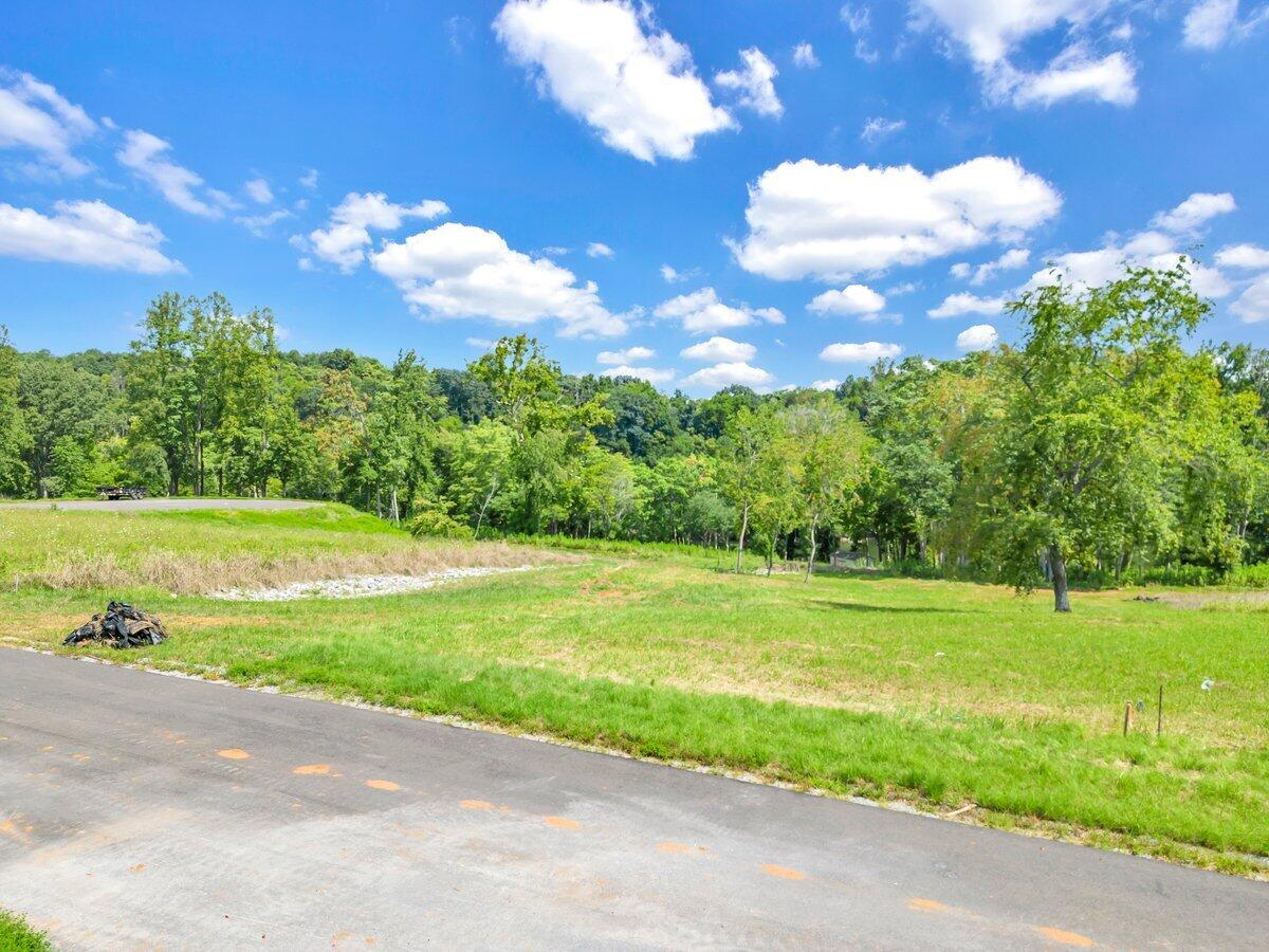 Lot 19 Springsteen Circle Goodview, VA 24095 - Photo 5 of 12 a view of a volley ball court