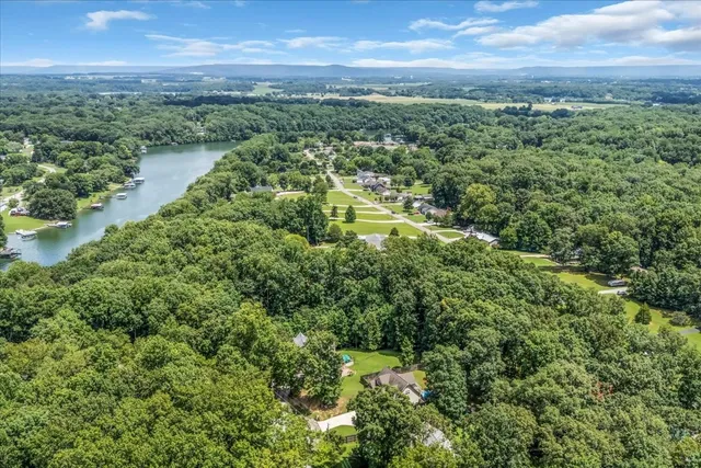a view of a yard with an outdoor space