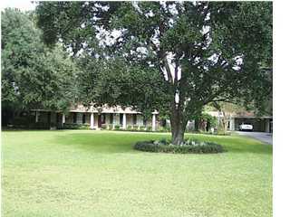 Primary Photo