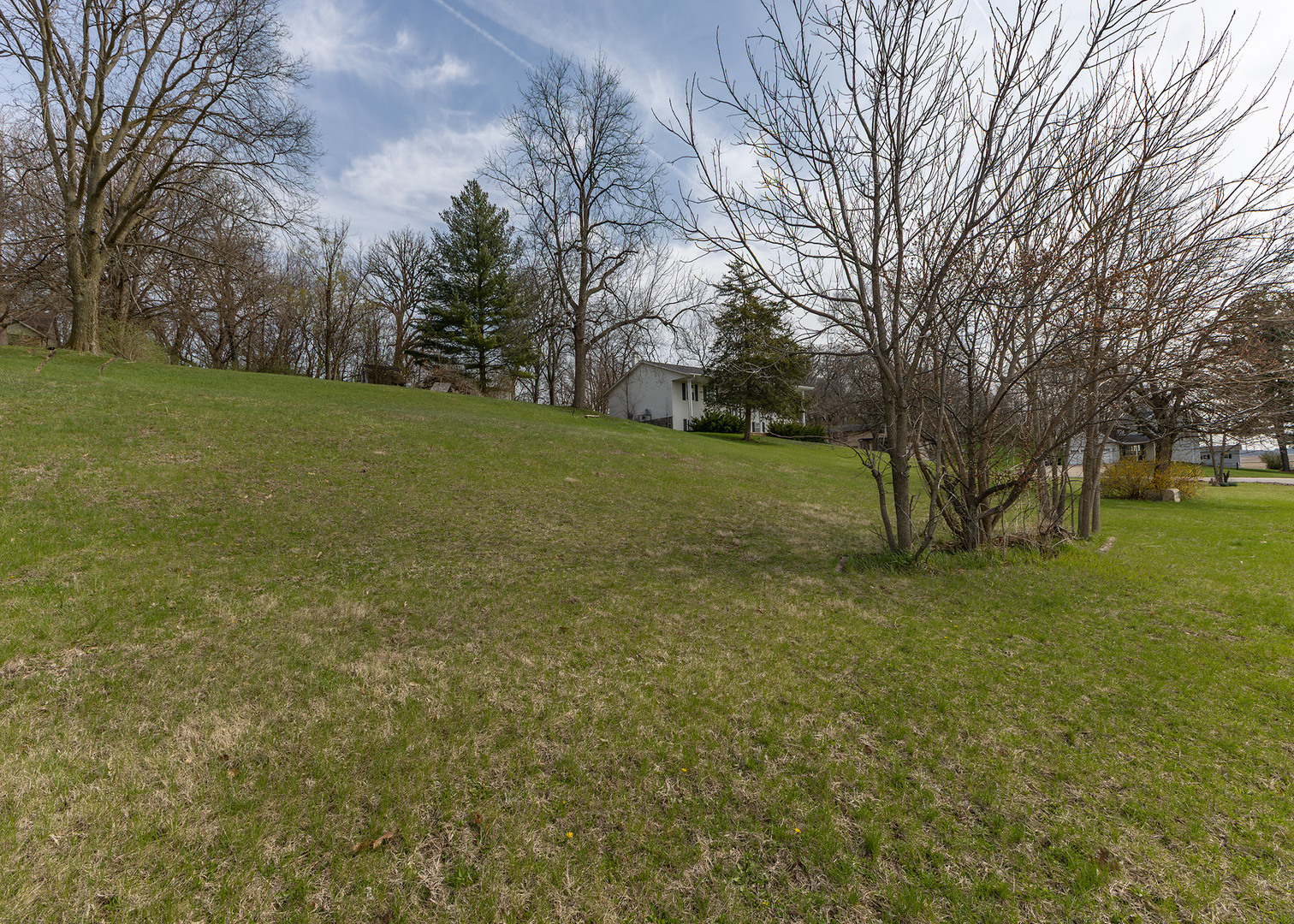 25 Oak Grove Road Geneseo, IL 61254 - Photo 22 of 22 a view of a field with trees
