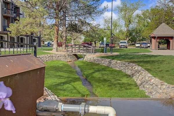 a view of yard with tree s