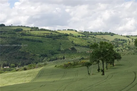 a view of a garden with a bench