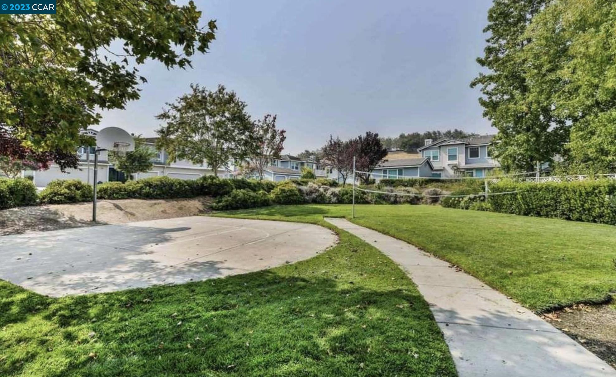 3505 Coyote Circle Clayton, CA 94517 - Photo 15 of 16 a view of a park with large trees