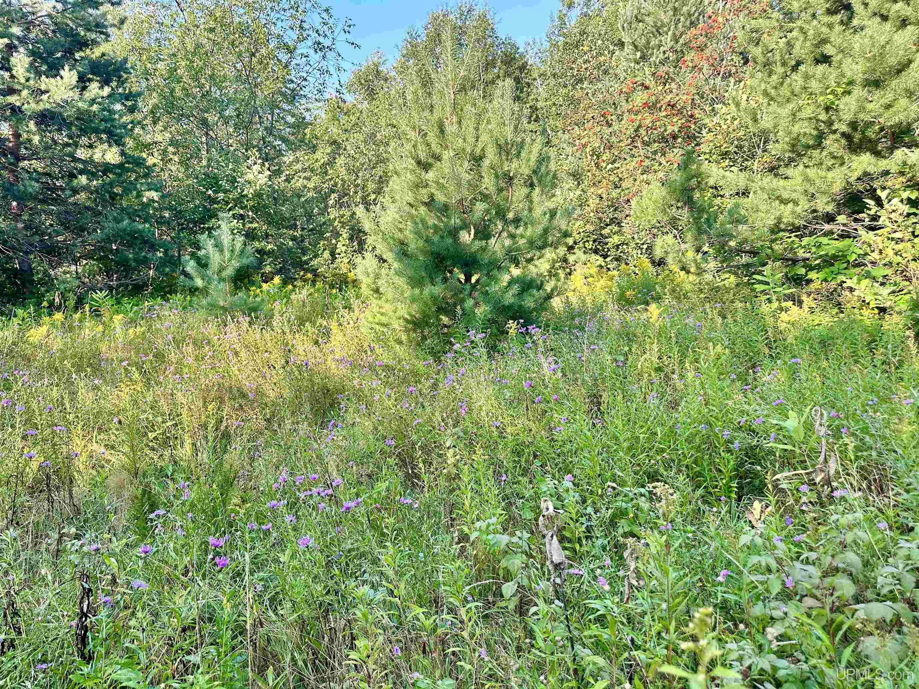Tbd Crestview Road Ironwood, MI 49938 - Photo 35 of 49