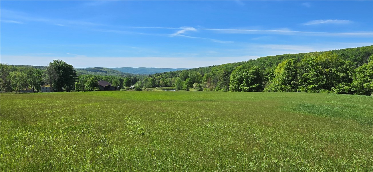 324 Murphy Hill Road Catlin, NY 14845 - Photo 17 of 47