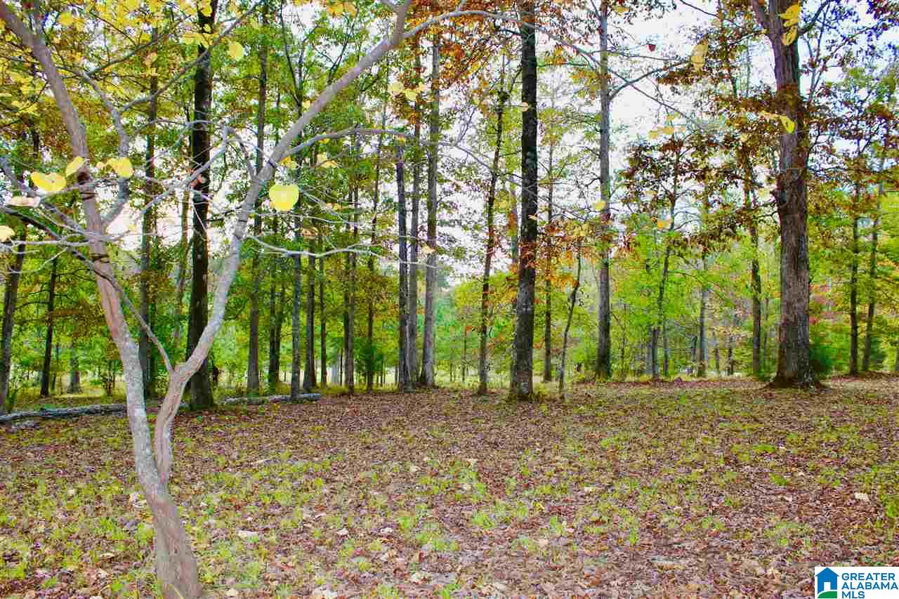 4861 Old Highway 280 Sterrett, AL 35147 - Photo 27 of 45
