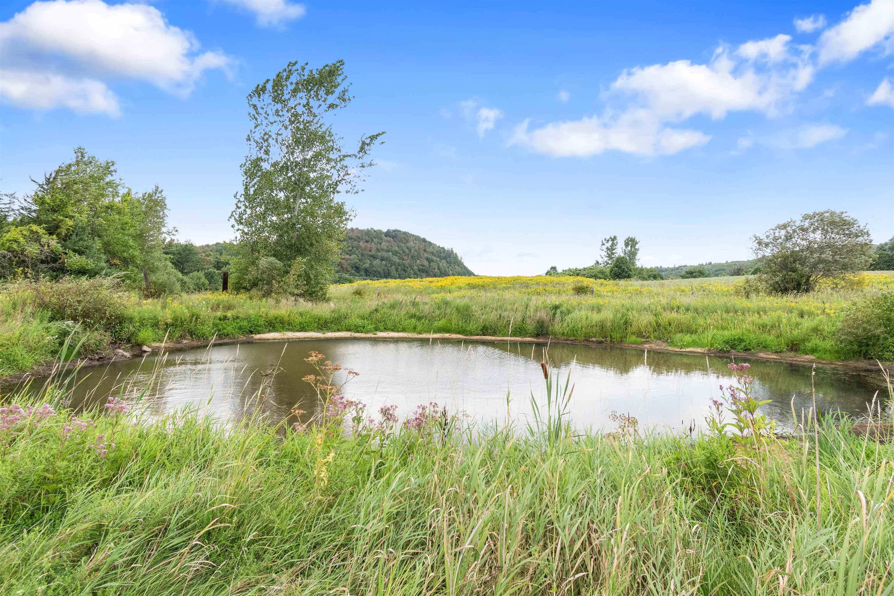 1726 Monkton Road Monkton, VT 05473 - Photo 43 of 50