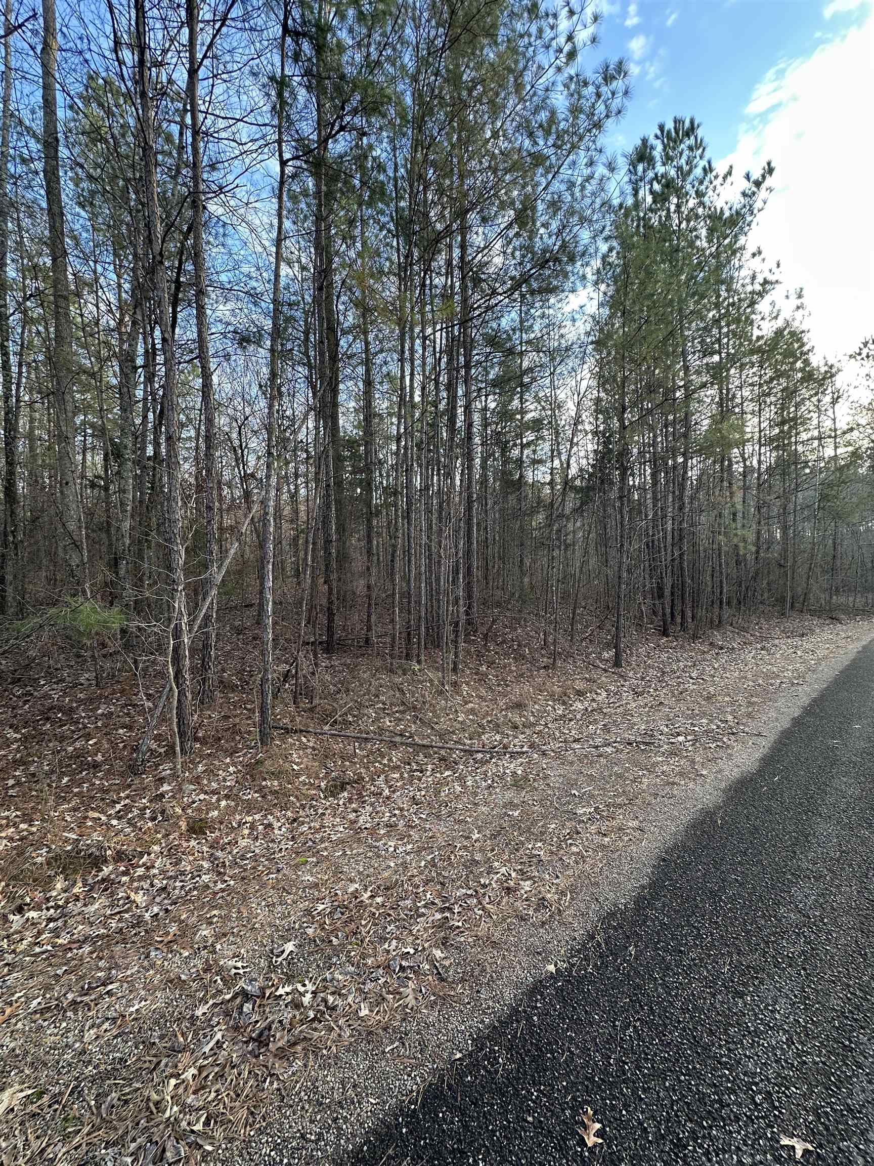 Dell Arbor Circle Ramer, TN 38367 - Photo 3 of 6