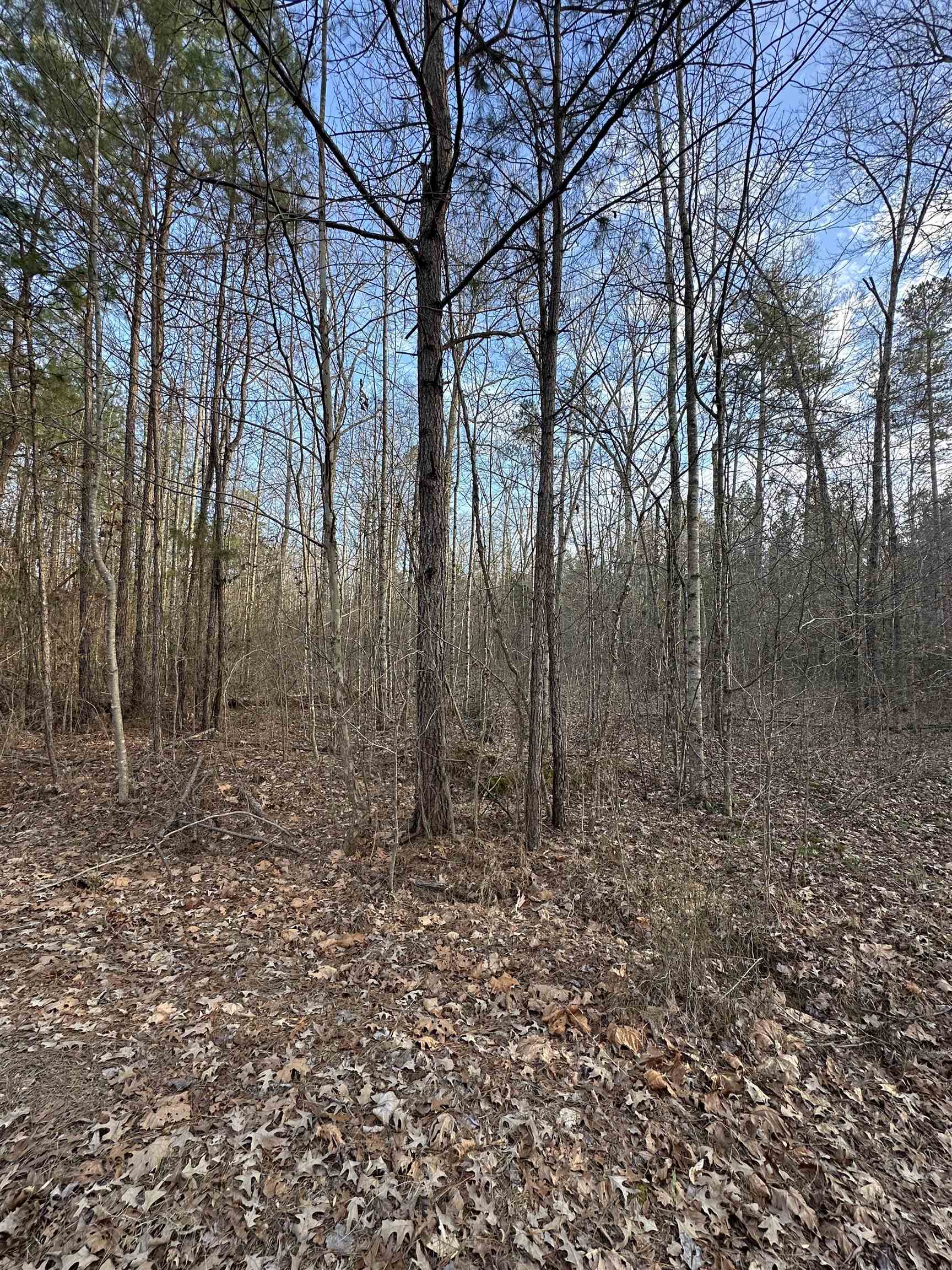 Dell Arbor Circle Ramer, TN 38367 - Photo 5 of 6