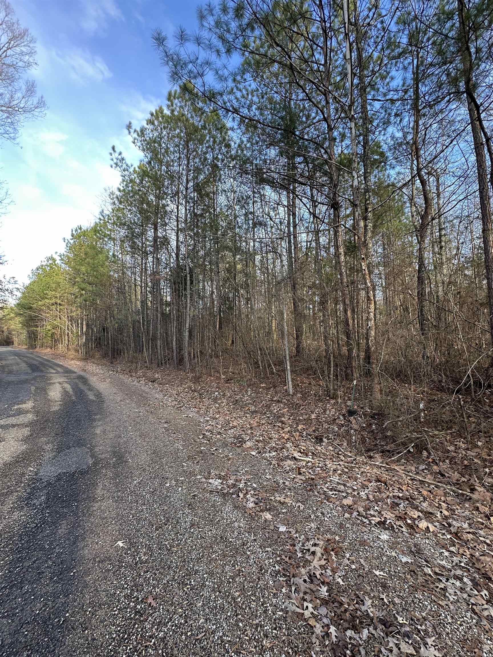 Dell Arbor Circle Ramer, TN 38367 - Photo 6 of 6