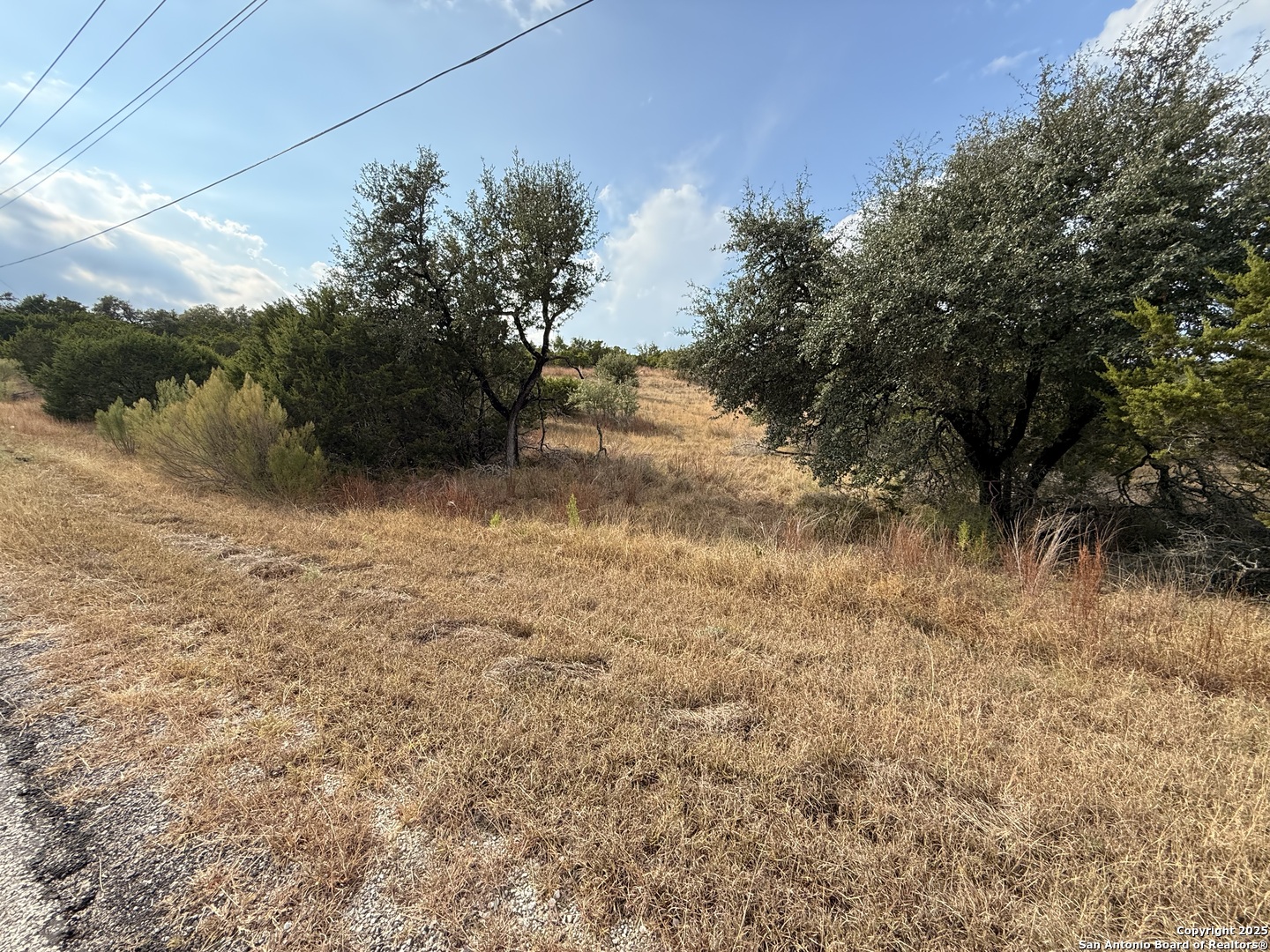 819 Mystic Breeze Spring Branch, TX 78070 - Photo 11 of 14 a view of a yard