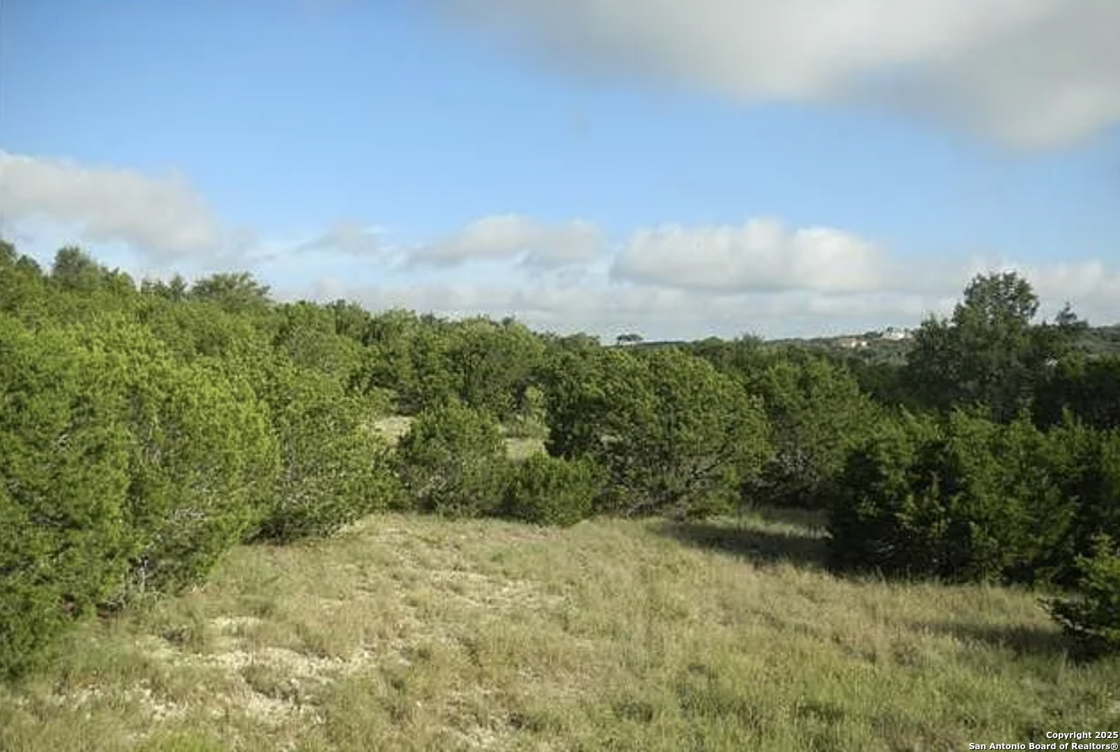 819 Mystic Breeze Spring Branch, TX 78070 - Photo 13 of 14 a view of a yard with a tree