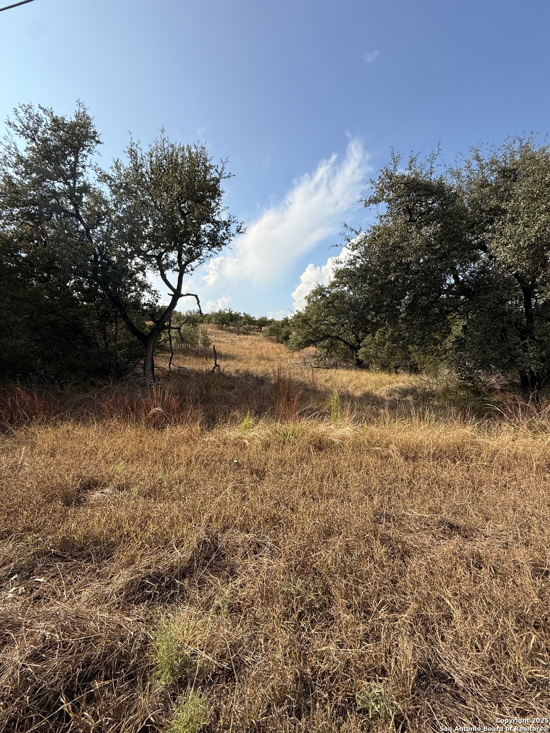 819 Mystic Breeze Spring Branch, TX 78070 - Photo 2 of 14 a view of lake with green space