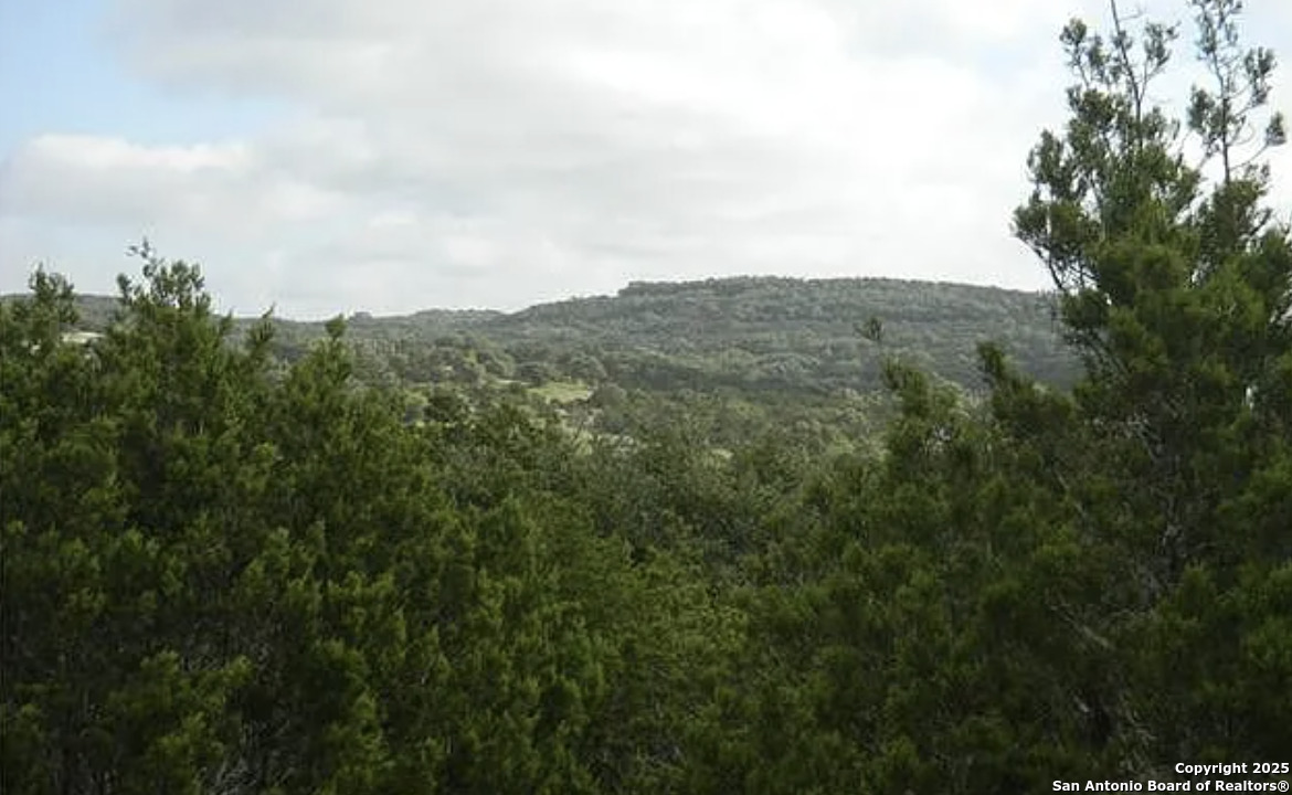 819 Mystic Breeze Spring Branch, TX 78070 - Photo 3 of 14 a view of a large mountain with mountains in the background