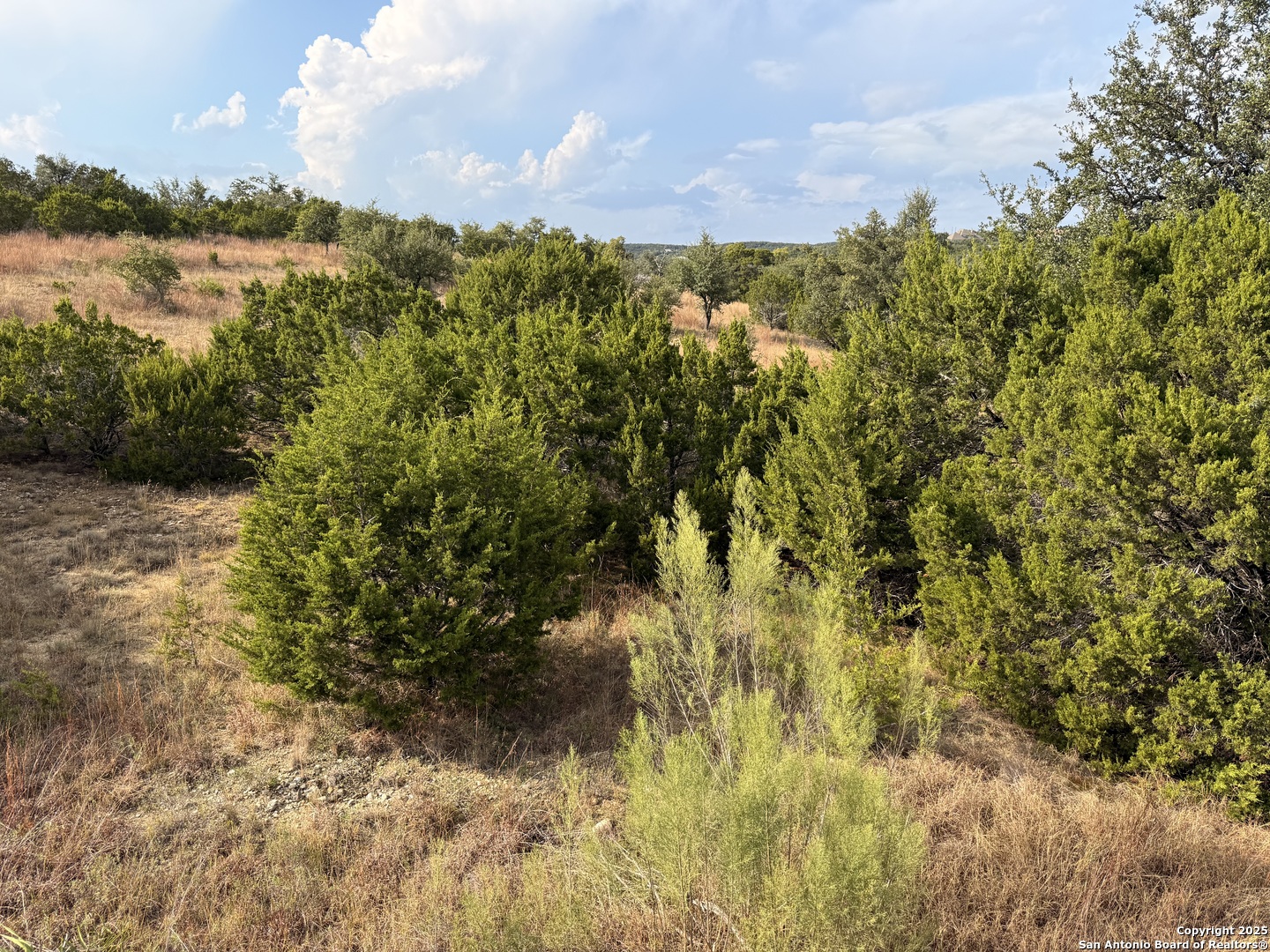 819 Mystic Breeze Spring Branch, TX 78070 - Photo 5 of 14 a view of lake and mountain