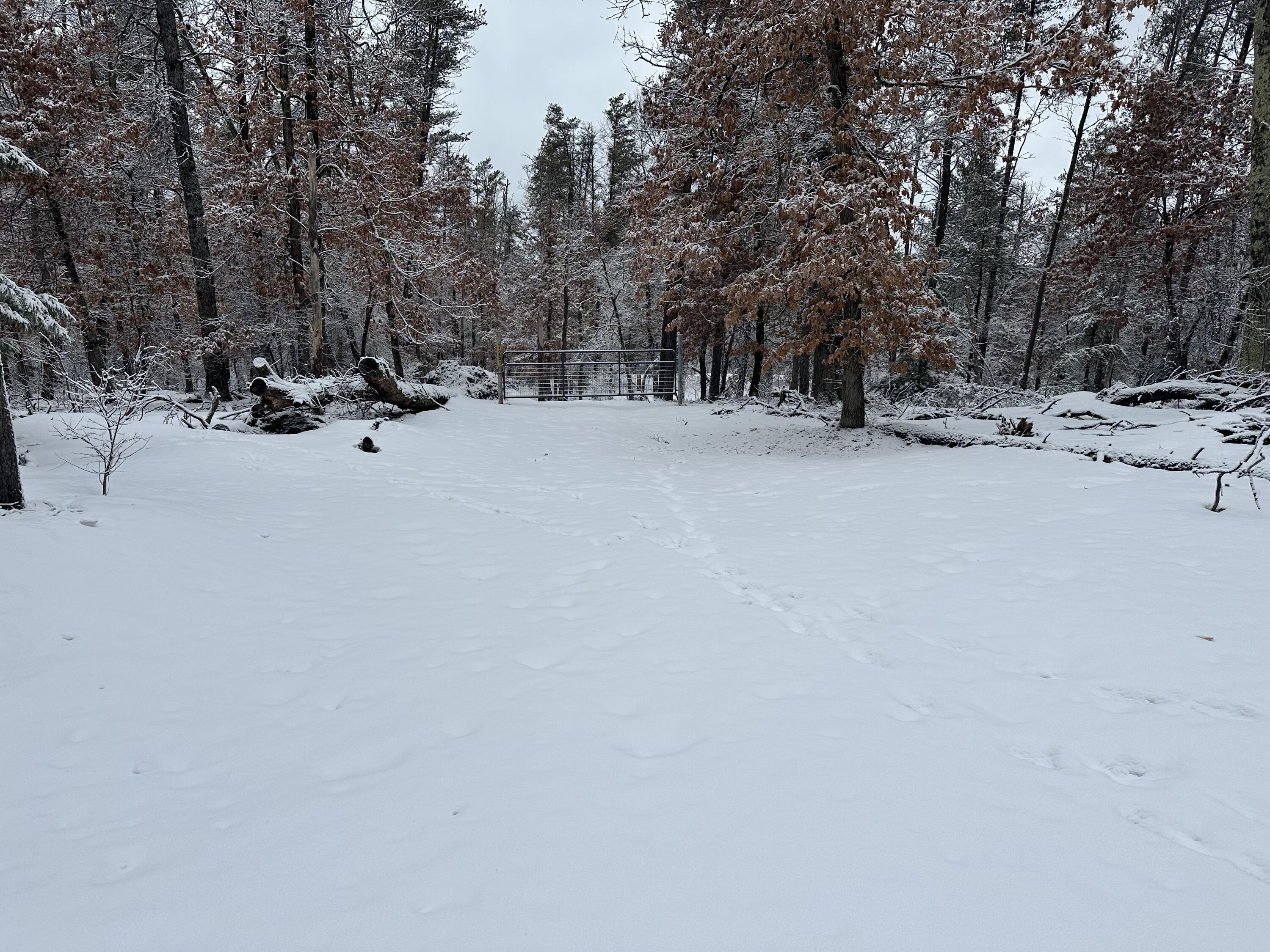 7251 South Clay Banks Road Baldwin, MI 49304 - Photo 13 of 19 IMG_8331