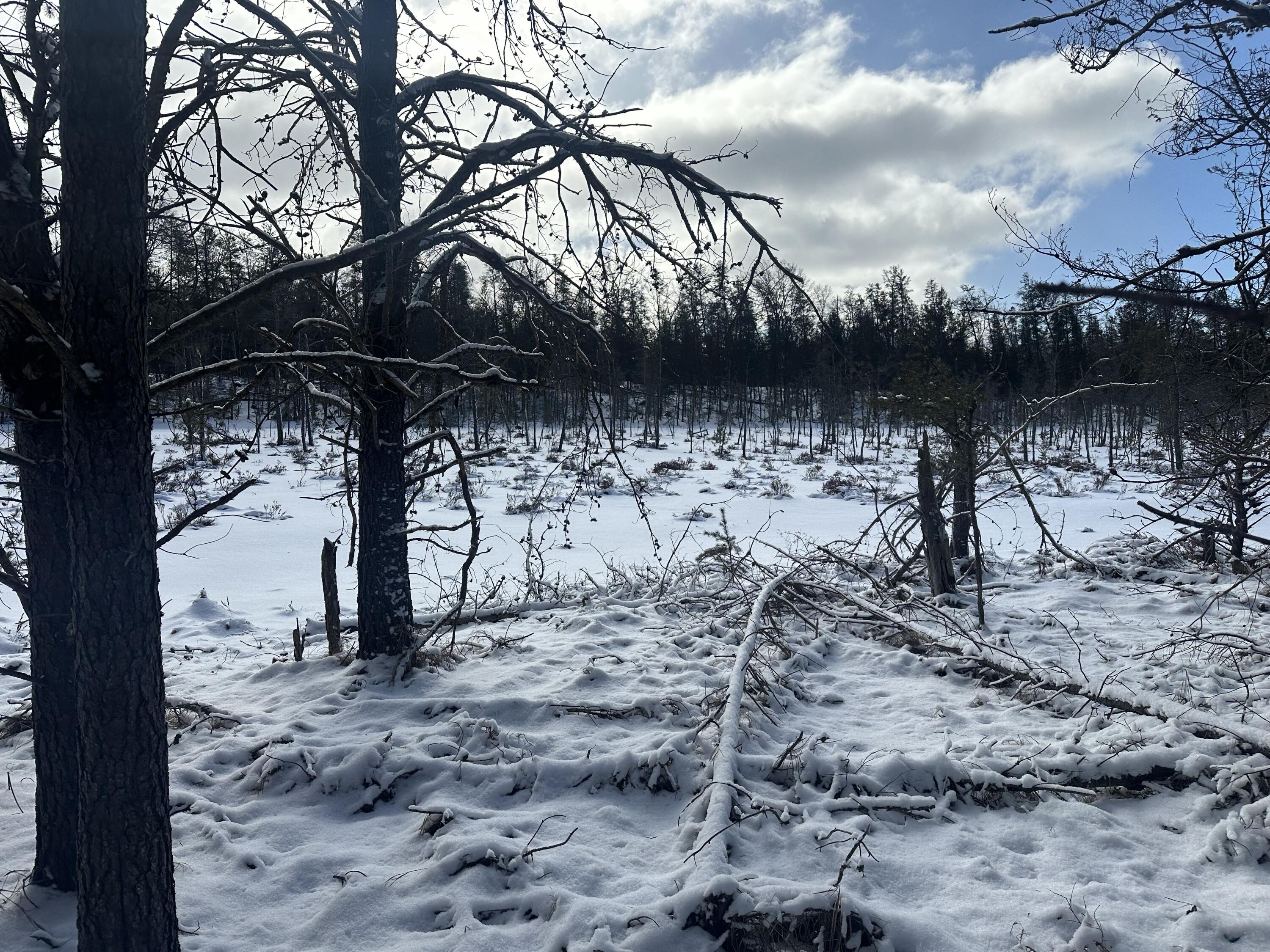 7251 South Clay Banks Road Baldwin, MI 49304 - Photo 3 of 19 IMG_8356