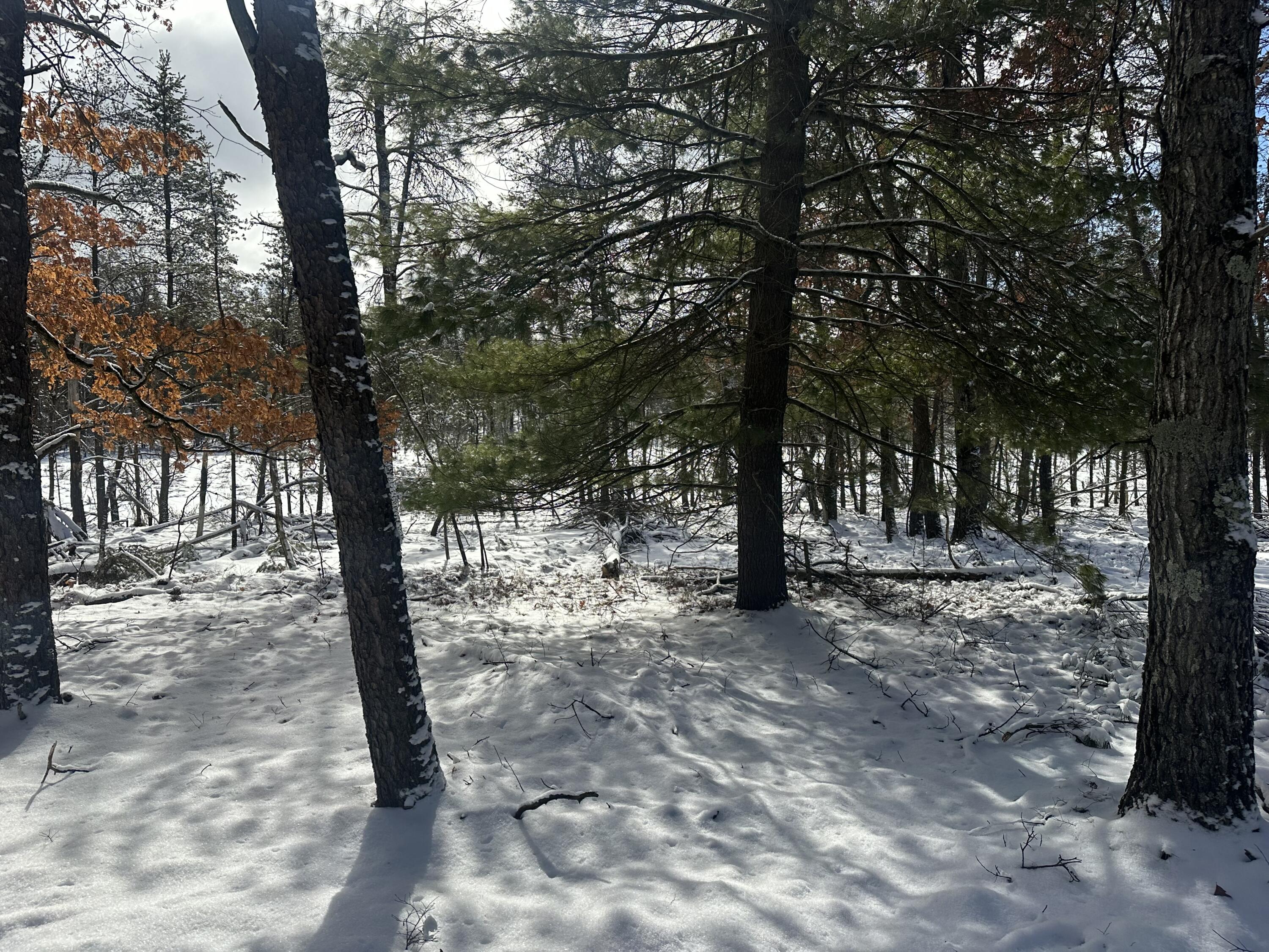 7251 South Clay Banks Road Baldwin, MI 49304 - Photo 5 of 19 IMG_8354