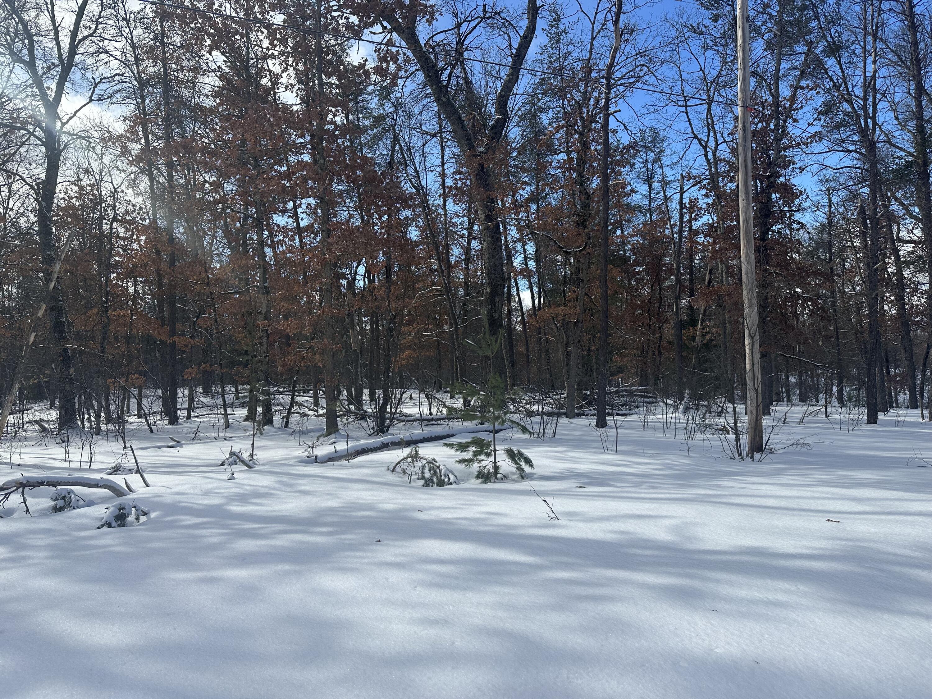 7251 South Clay Banks Road Baldwin, MI 49304 - Photo 10 of 19 IMG_8349