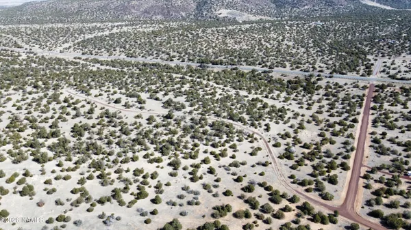a view of a dry yard with trees