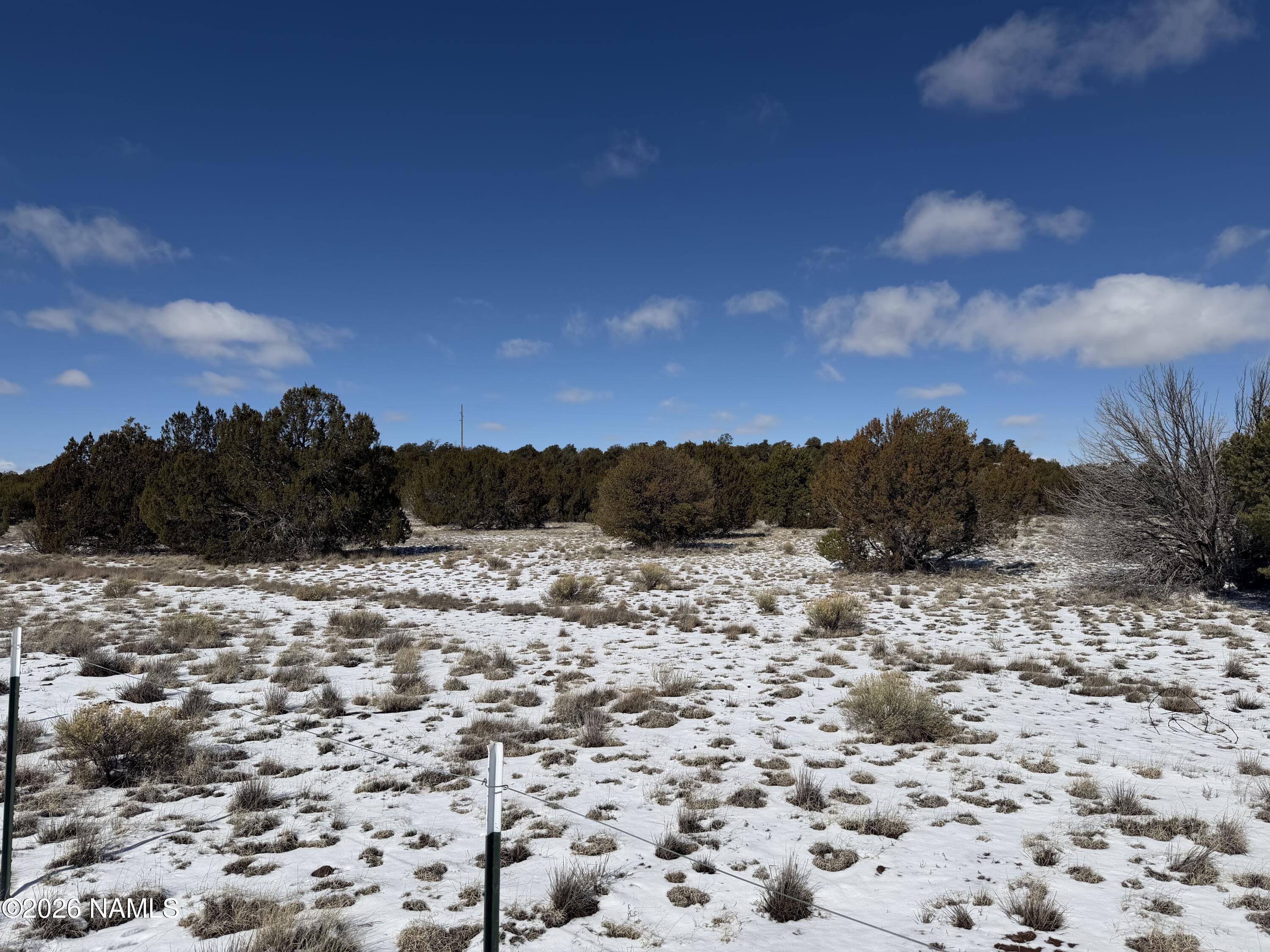 13537 Bly Station Road, Unit C Williams, AZ 86046 - Photo 4 of 8