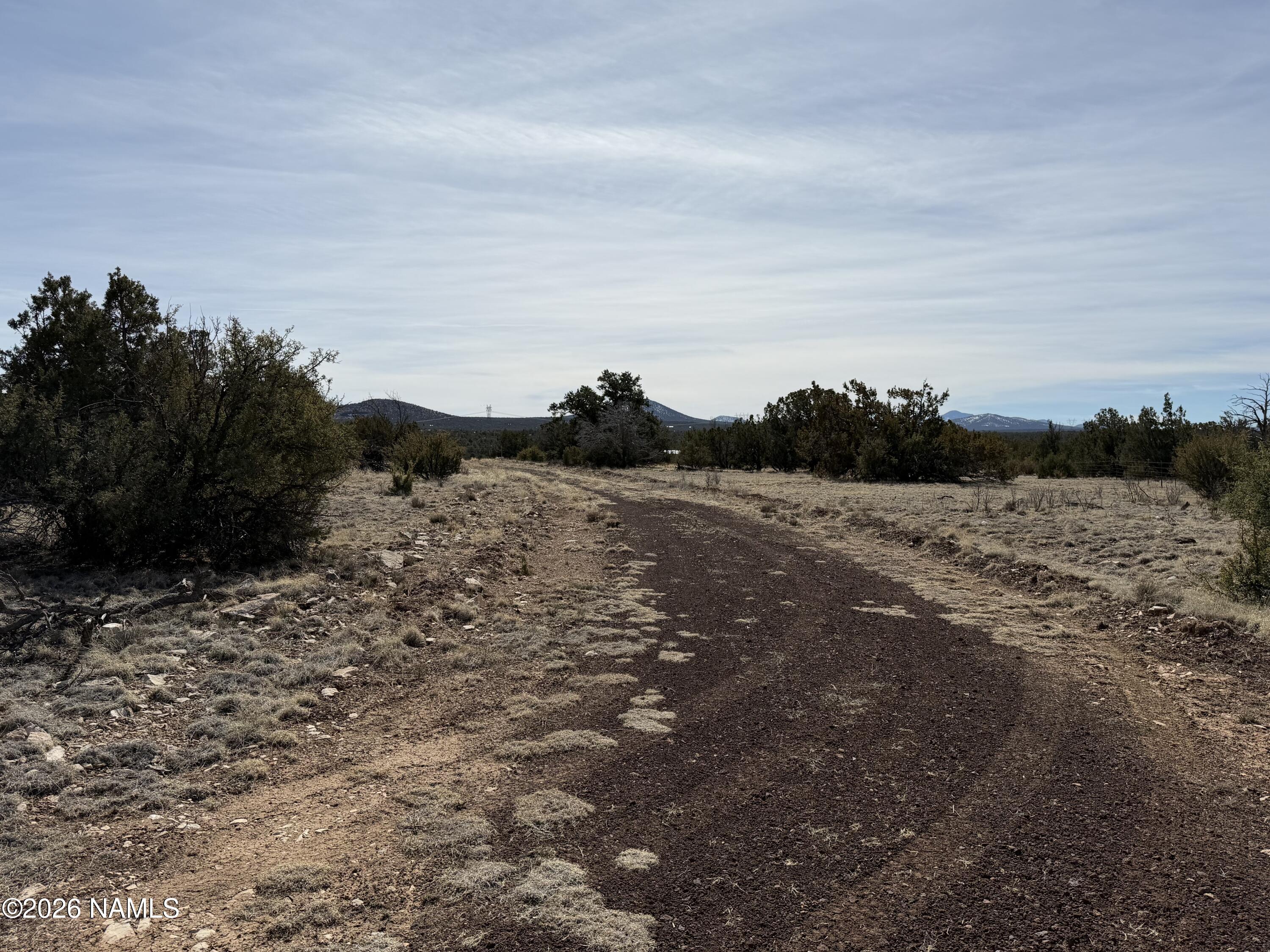 13537 Bly Station Road, Unit C Williams, AZ 86046 - Photo 5 of 8 a view of a dry yard with trees
