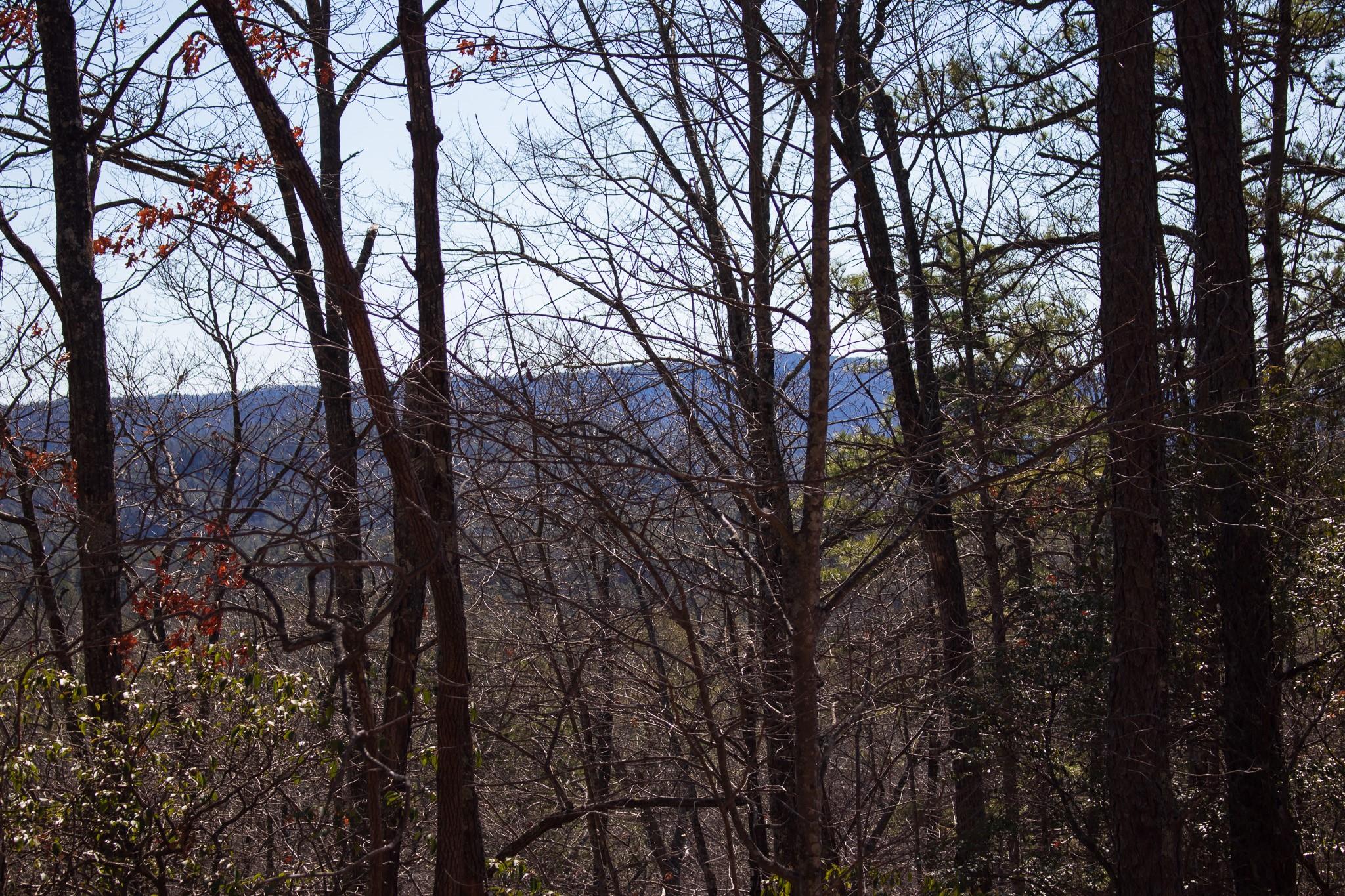 Lot 83 Oak Laurel Road Brevard, NC 28712 - Photo 2 of 13 Gallery Image 2