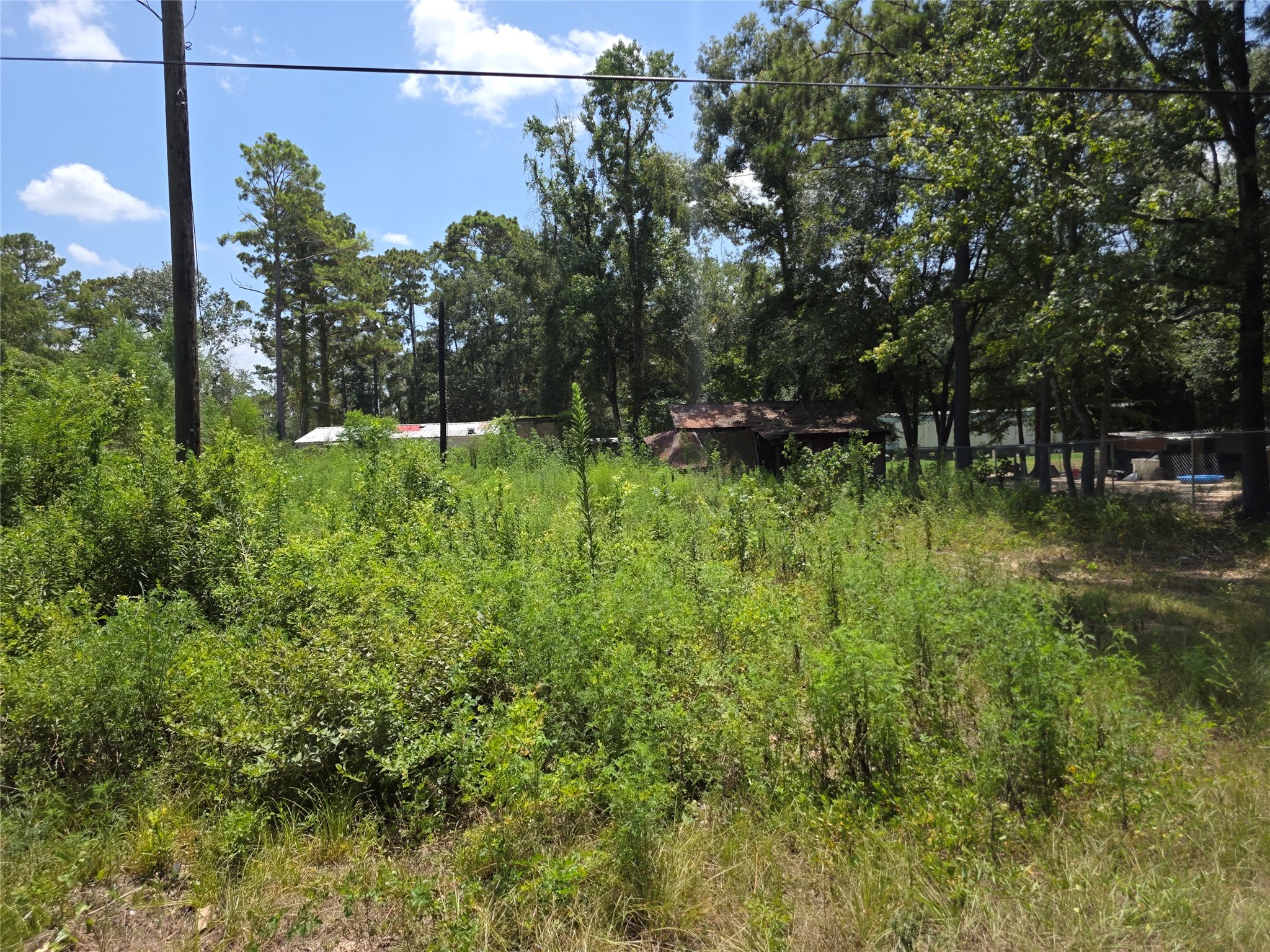 19340 Old Coffin Road Conroe, TX 77302 - Photo 2 of 6 Gallery Image 2