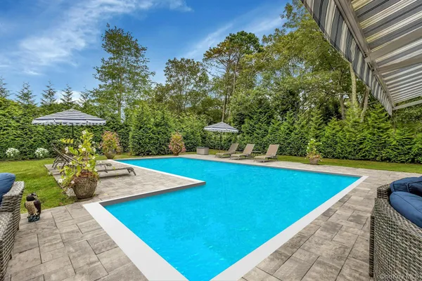 a view of a swimming pool with lawn chairs and plants
