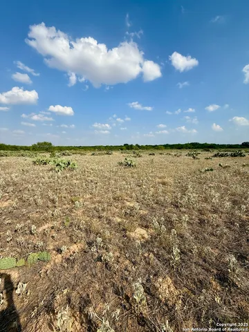 a view of a bunch of trees and houses