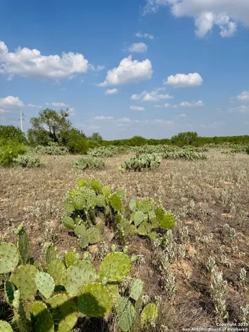 a view of a bunch of trees and houses