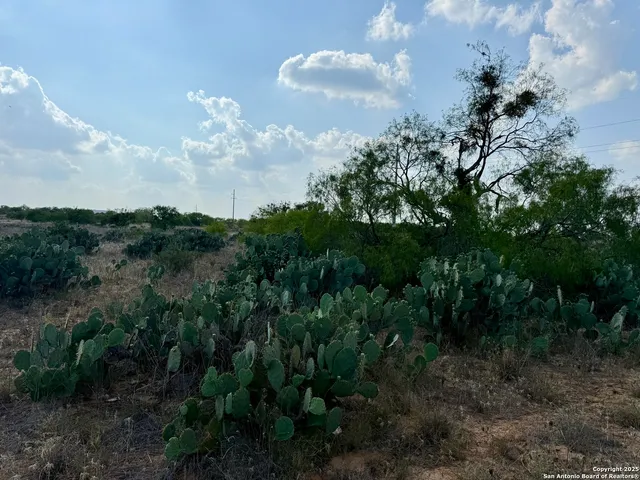 a view of lake and mountain
