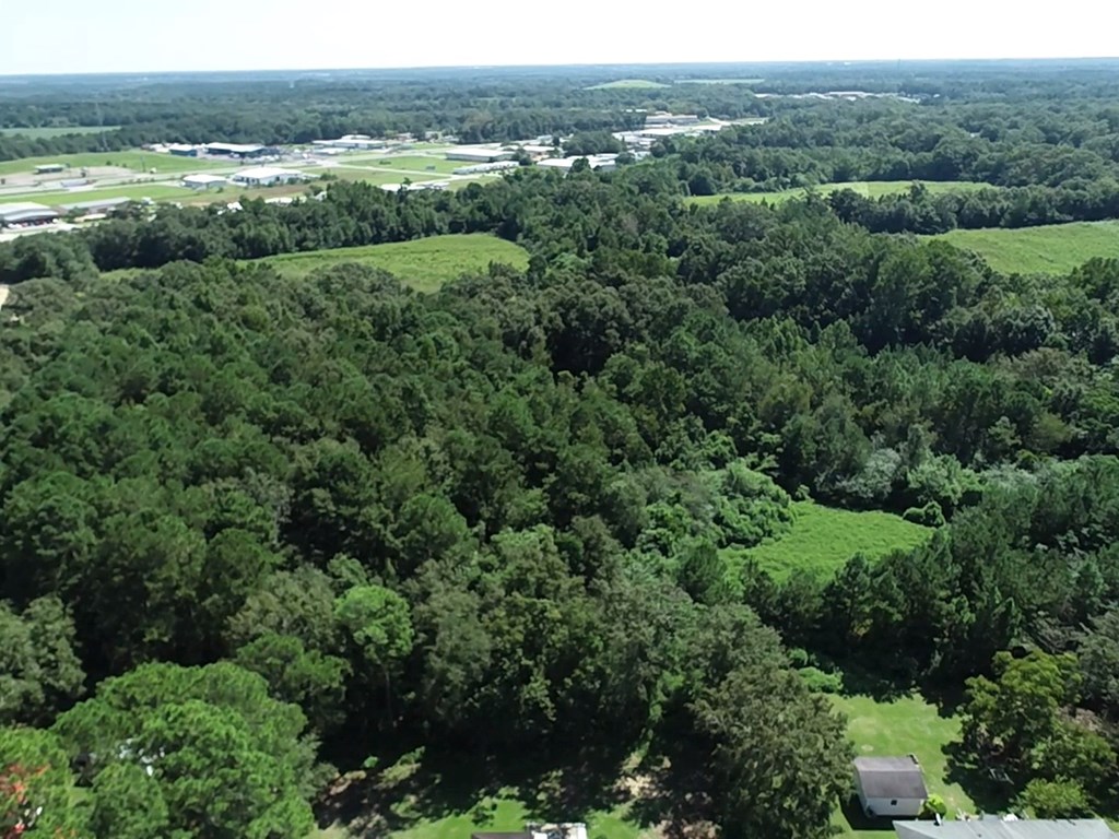 12.752-ac 12.752-ac Kinsey Rd/ Keel Road Dothan, AL 36301 - Photo 16 of 22