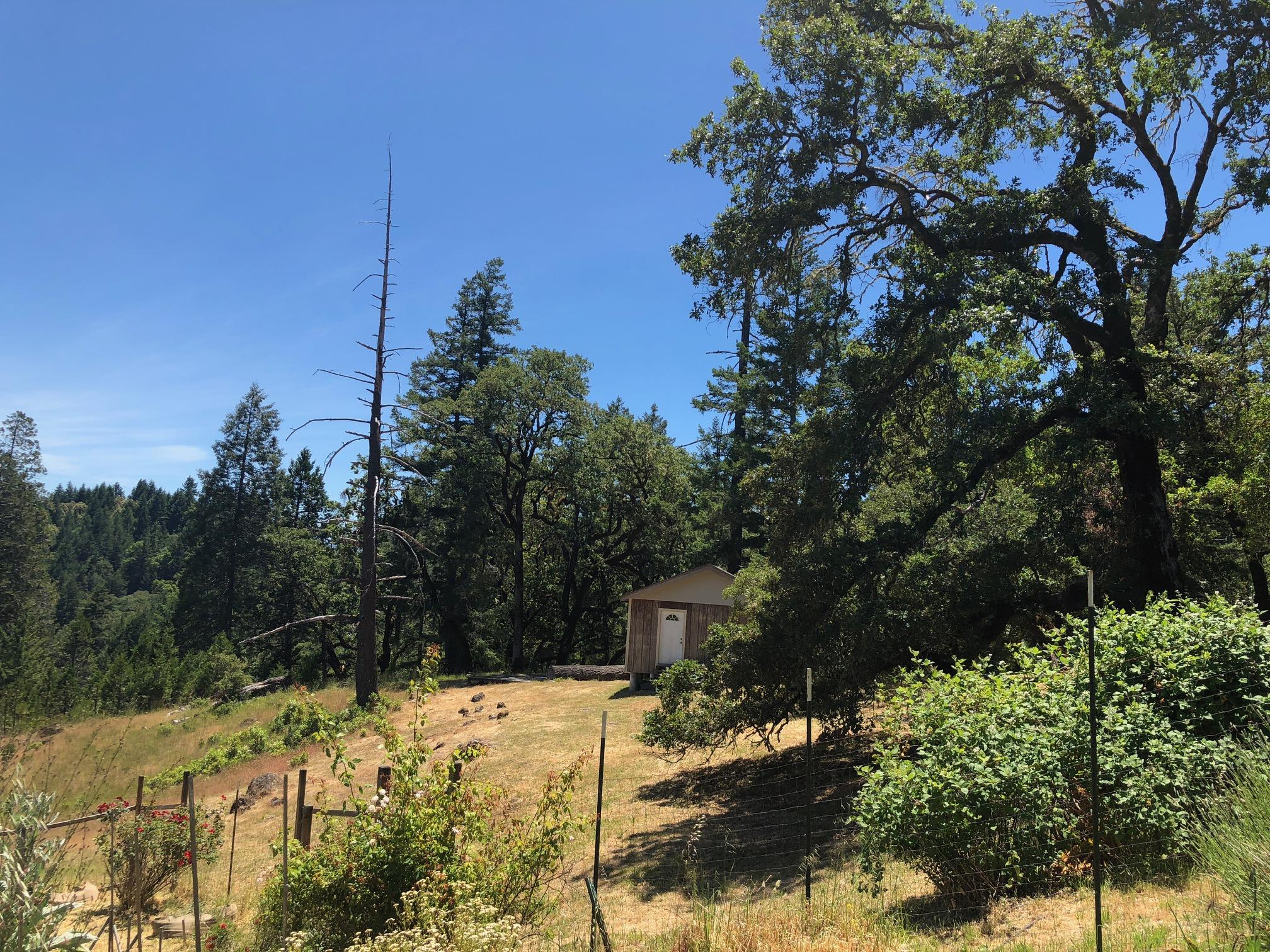 85 Rd A Garberville, CA 95542 - Photo 10 of 22 IMG_1902