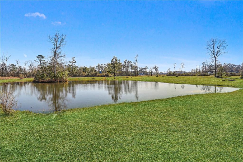 29090 Highway 444 Springfield, LA 70462 - Photo 35 of 36