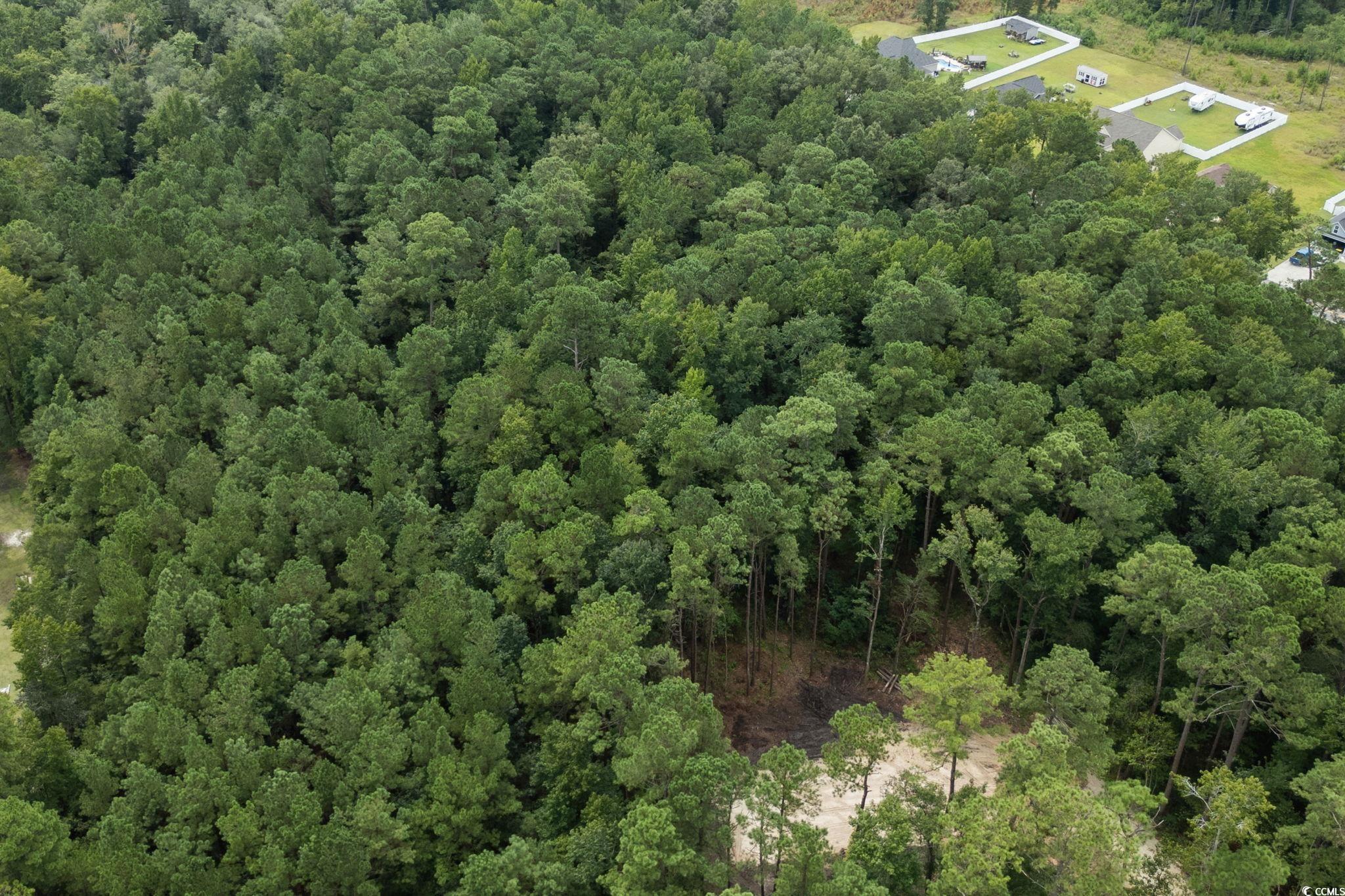 4765 Cates Bay Highway Conway, SC 29527 - Photo 13 of 32 Bird's eye view of a forest