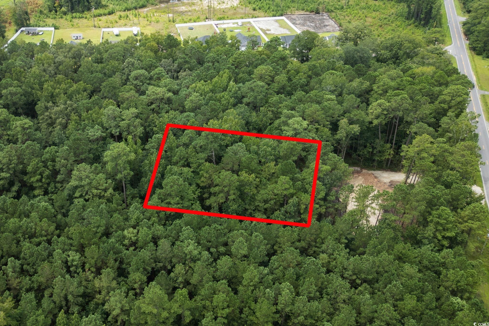 4765 Cates Bay Highway Conway, SC 29527 - Photo 14 of 32 View of property location with a forest and property boundaries highlighted