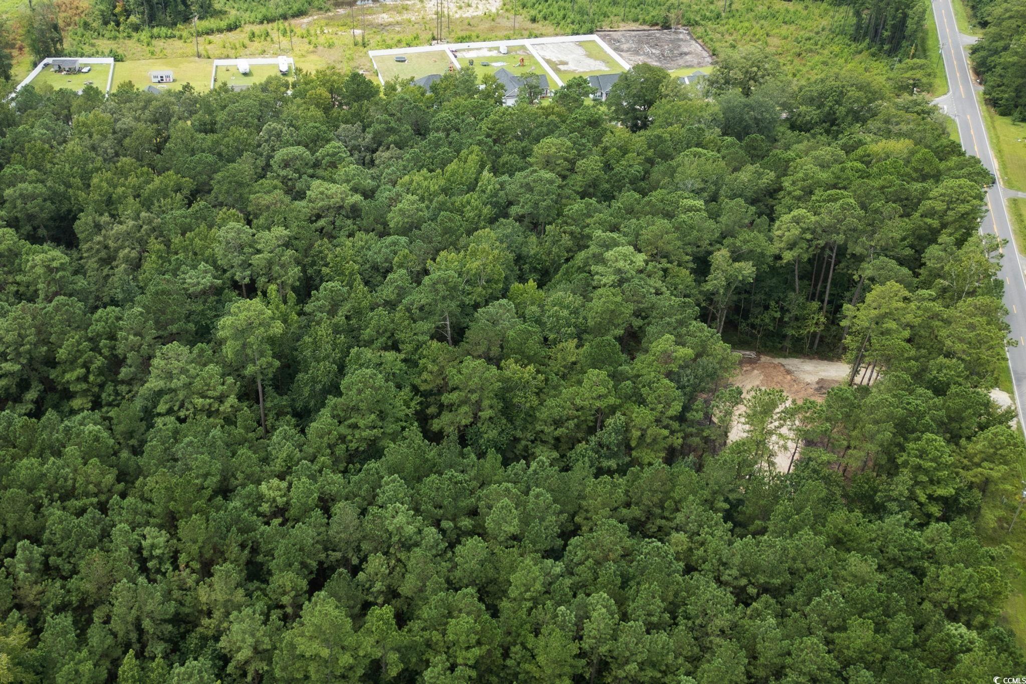 4765 Cates Bay Highway Conway, SC 29527 - Photo 15 of 32 Bird's eye view of a heavily wooded area