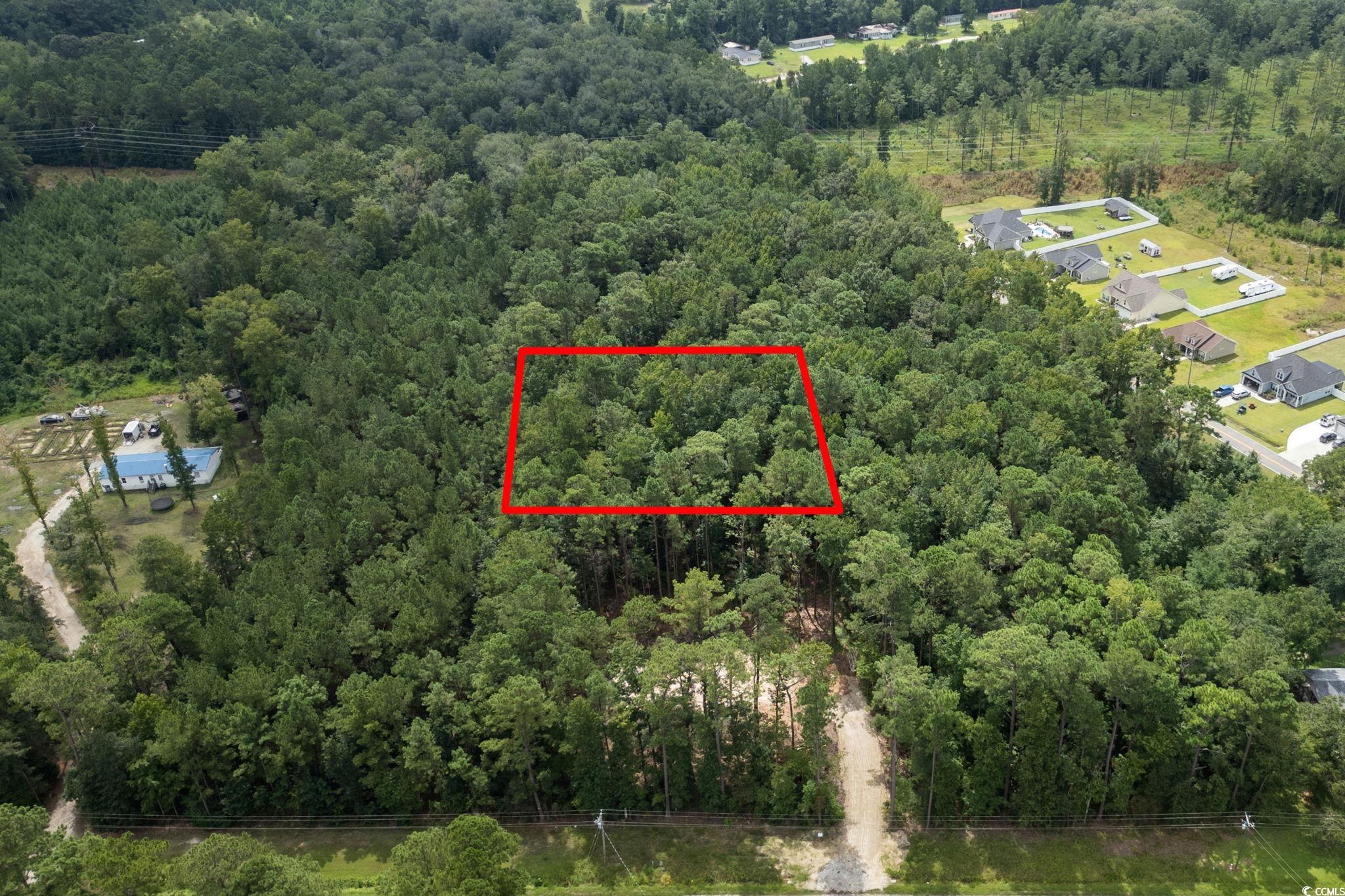 4765 Cates Bay Highway Conway, SC 29527 - Photo 2 of 32 View of property location featuring a forest and property parcel outlined