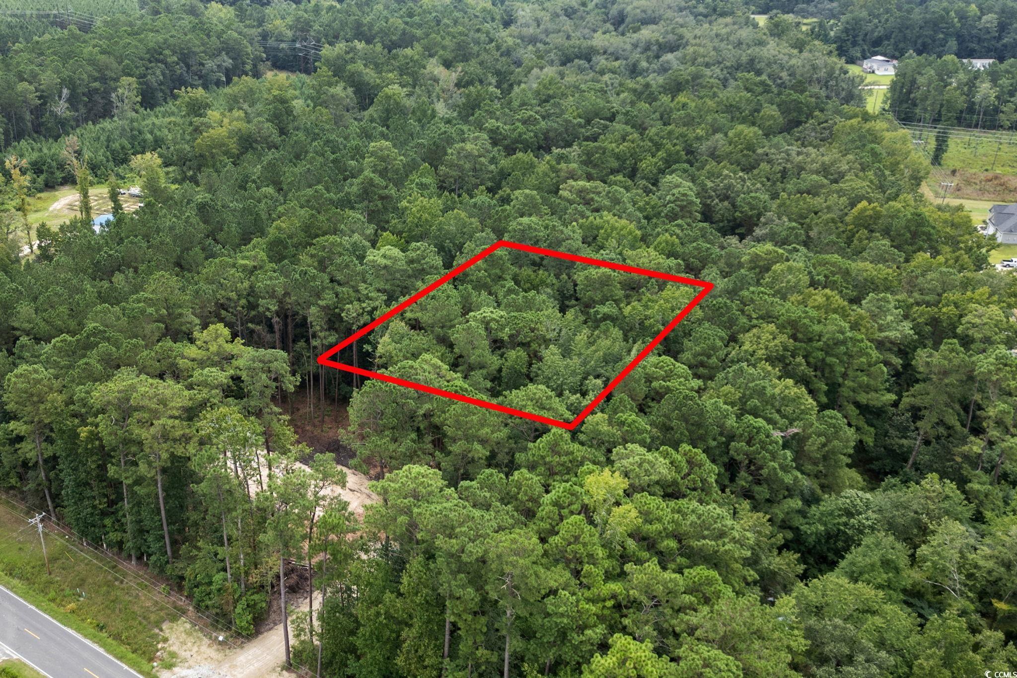 4765 Cates Bay Highway Conway, SC 29527 - Photo 4 of 32 Aerial view of property's location featuring property boundaries highlighted and a heavily wooded area